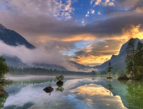DRAWING WATER FROM THE RIVER OF LIFE